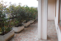 Appartamento signorile affitto Ravenna