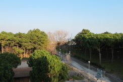 Affitto Trilocale Vista Mare