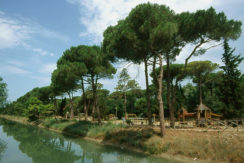 Villa da ristrutturare Cervia