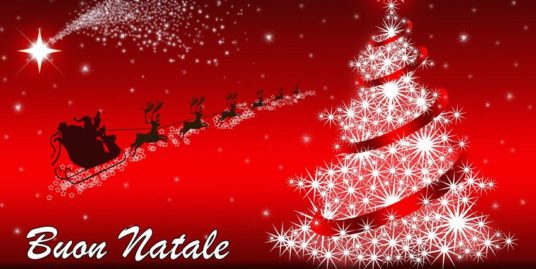 Buon Natale e Felice 2019