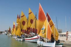 Appartamento sul mare a M.Marittima