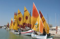 Appartamento sul mare a M.Marittima