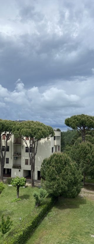 IMG_2259
