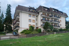 Vendita Monolocale Ronzone