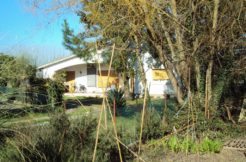 Villa con giardino a Cervia