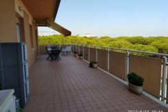 AMPIO APPARTAMENTO PIANO ALTO ZONA CENTRO MILANO MARITTIMA