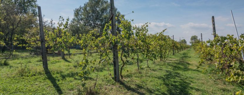 casa indipendente 2 appartamenti 10 km da Ravenna