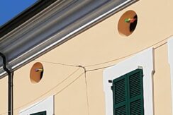 Appartamento in Centro Storico a Cervia