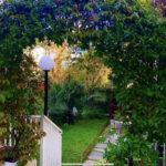 Attico con piscina a M.Marittima