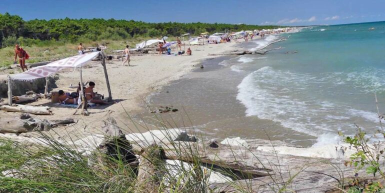 spiaggia lido di dante