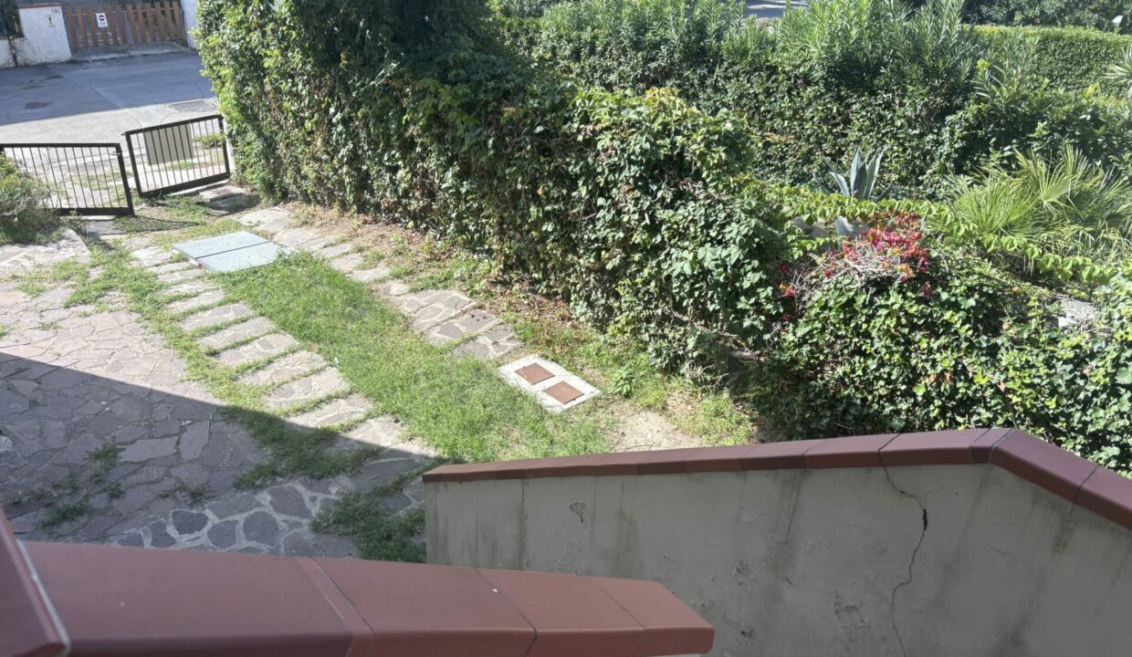image00009