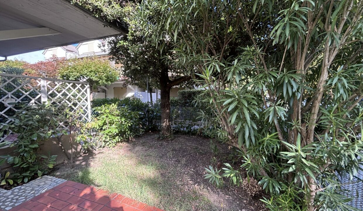 image00037